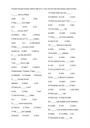 English Worksheet: A2 Skill Test