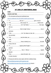 English Worksheet: 2nd & 3rd conditional quiz