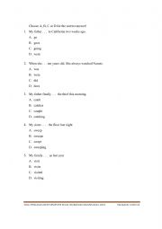 English Worksheet: English test