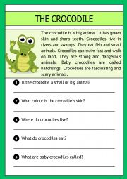 The crocodile -  reading comprehension