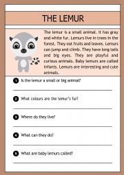 The lemur -  reading comprehension