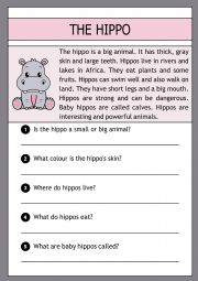 The hippo -  reading comprehension
