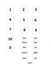 English Worksheet: activity