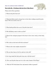 English Worksheet: Questions to a youyube film about Polar Bears in a ZOO pt.1