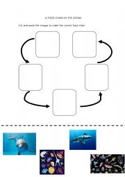 English Worksheet: Ocean Food Chain 