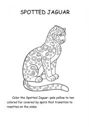 English Worksheet: Spotted Jaguar