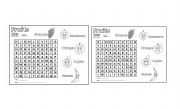English Worksheet: Fruits
