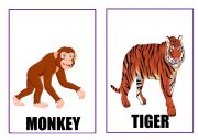 WILD ANIMALS FLASHCARDS