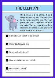 The elephant -  reading comprehension