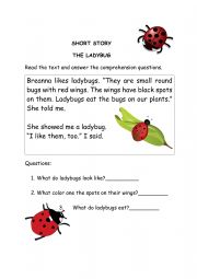 English Worksheet: Ladybug story