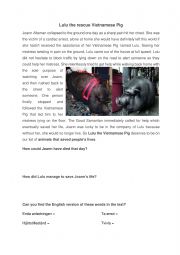 English Worksheet: Animals that have saved human lives