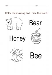 English Worksheet: the bear and the bees story basic vocabulary for coloring and tracing