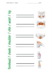 English Worksheet: write the body parts  words