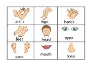 English Worksheet: Body part bingo