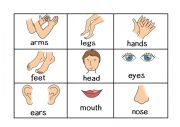 Body part bingo