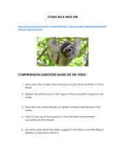 English Worksheet: COSTA RICA WILD LIFE