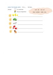 English Worksheet: SINGULAR PLURAL