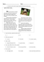 English Worksheet: READING COMPREHENSION