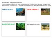 English Worksheet: Animals and their habitat