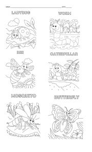 English Worksheet: Bugs for kindergarten