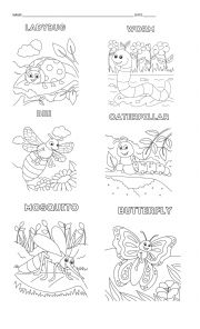 Bugs for kindergarten