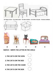 English Worksheet: WHERE IS THE CAT