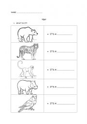 Zoo Animals, likes and dislikes