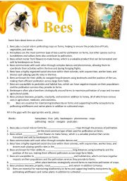 English Worksheet: Bees - Farm Animals