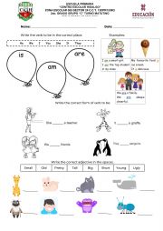 English Worksheet: Verb to be exam