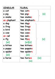 English Worksheet: plural of nouns 