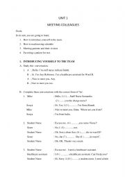 English Worksheet: Meeting People