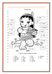 English Worksheet: Human body