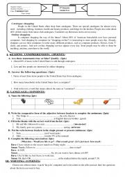English Worksheet: test