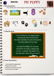 English Worksheet: My puppy.