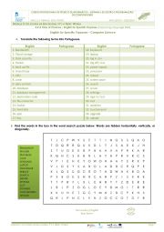 English Worksheet: English For Specific Purposes - Computer Science