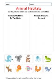 English Worksheet: Animals habitats 