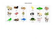 English Worksheet: Anmals vocabulary