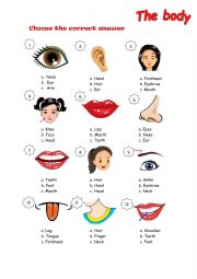 English Worksheet: sd