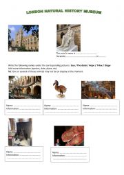 English Worksheet: The Natural History Museum in London part 1