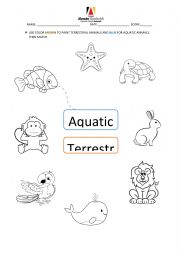 English Worksheet: HABITATS
