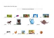 English Worksheet: Letters and Words Elementary 