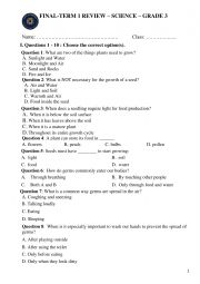 English Worksheet: final test