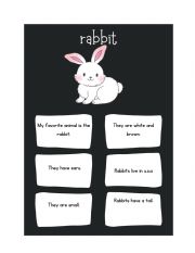 English Worksheet: Rabbit