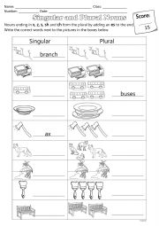 Singular and Plural Nouns