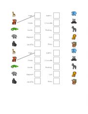 English Worksheet: Zoo worksheet