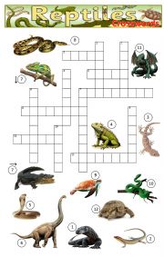 English Worksheet: Reptiles Crossword