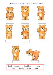 Teddy Bear - body parts
