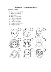 English Worksheet: Physical description