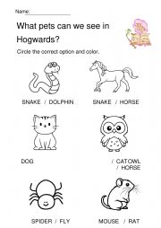 English Worksheet: Animals in Hogwards