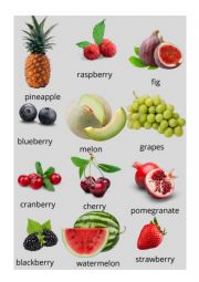 English Worksheet: FRUIT DICTIONARY 1